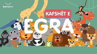 🐘 Kafshët e Egra për Fëmijë 🦧 Këngë Shqip për Fëmijë 🦁 Bubrreci TV kafshët kengeperfemije [upl. by Yssep264]