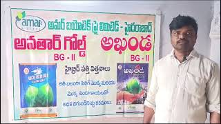 Akhanda Amar Biotech Cotton Seeds Khammam Area [upl. by Adali]