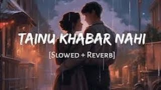 tainu khabar nahi slowed and reverb song  best song [upl. by Claudina]