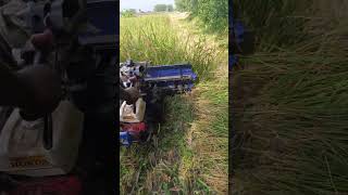 Paddy cutting machine reels cuttingmachine youtubeshorts shorts new trending [upl. by Orna684]