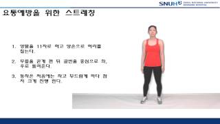 허리결림 및 요통 완화를 위한 스트레칭 Stretching exercises to relieve back pain and stiffness [upl. by Ahsirhcal]