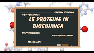 Le biomolecole le proteine struttura primaria secondariaterziariaquaternaria [upl. by Uon269]