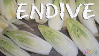 What Is Endive  Braised Endive Recipe [upl. by Todd729]