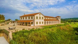 Tzivani Winery in Ritsona Evia Greece [upl. by Anner]