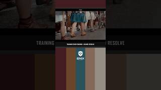 Training Color Grading  09 colorgrading davinciresolve enixcolorist [upl. by Noisla]