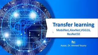 Transfer Learning  Understanding VGGResNet MobileNet  AlexNet [upl. by Nylloh]