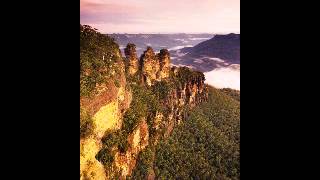 Australian Bushland Birdsong [upl. by Earehs314]