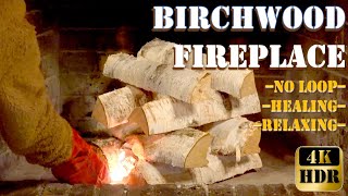 Birchwood Bliss Cozy Fireplace Ambiance for Supreme Relaxation Real time No loop 4K HDR [upl. by Shoshana699]