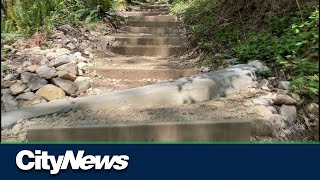 Vancouvers Grouse Grind trail opens [upl. by Lauhsoj]