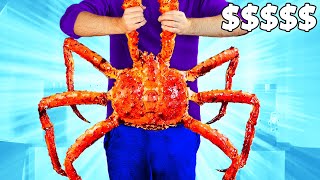 Plus gros crabes du monde  Nous avons préparé 1500  de crabe par VANZAI CUISINE [upl. by Naeroled213]