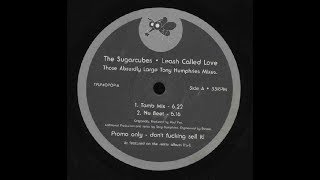 The Sugarcubes Leash Called Love Tamb Mix [upl. by Yak]