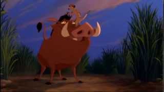 Timon y Pumba se conocen audio latino [upl. by Neerehs771]