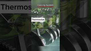 Cooling System Of Engine engine trending shorts [upl. by Imalda]