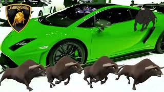 SPECTACULAR COLOR CHANGING LAMBORGHINI GALLARDO QUATTRO TORO BRAVO  Playlist [upl. by Ahsiekam276]