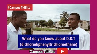 CAMPUS Street Quiz What is the full meaning of DDT❓ Funny campus videos😂  Campus viral comedy [upl. by Yleak470]