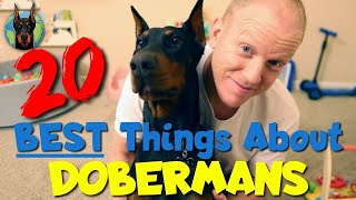 The 20 BEST Things About Owning a Doberman in 2023 [upl. by Adia975]