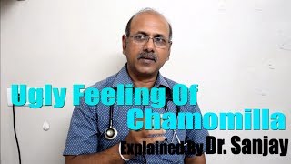 Ugly feeling of Chamomilla Explained Dr Sanjay HINDI [upl. by Yolanthe301]