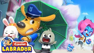 🔍Sheriff Labrador  Audiciones Falsas 📺  EP 89  Videos para Niños  BabyBus en Español [upl. by Ahseikan]