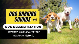 Desensitizing Sounds for dogs  BARKING SOUNDS  How to prepare your dog for boarding kennel [upl. by Buxton]