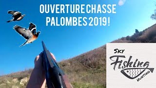 OUVERTURE de la CHASSE à la PALOMBESaison 20192020 [upl. by Masao]