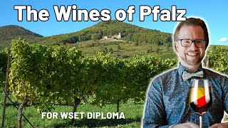 Exploring Germanys Pfalz Wines for WSET Diploma [upl. by Aitnom]