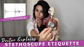 Doctor Explains Stethoscope Examination Patient Etiquette  Heart amp Lung Sounds 🩺 [upl. by Nosredna]