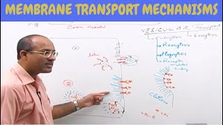 Cell Membrane Transport  Plasma Membrane Transport  Cell Biology🩸 [upl. by Brittany]