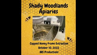 Honey Harvest Extraction from Layens Frames October 10 2022 [upl. by Nnainot485]