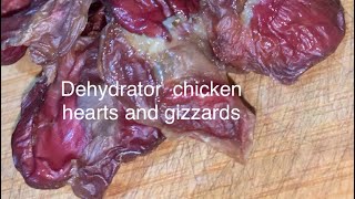 Affordable Homemade Dog Treats Dehydrated Chicken Hearts amp Gizzards Recipe [upl. by Rebekah2]