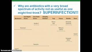 Microbiology Chapter 20 Lecture part 1 [upl. by Murphy]