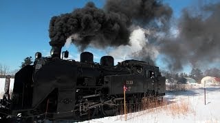 SL冬の湿原号 Fuyu no Shitsugen Go Steam Locomotive in Hokkaidô C11 207 [upl. by Odnala978]