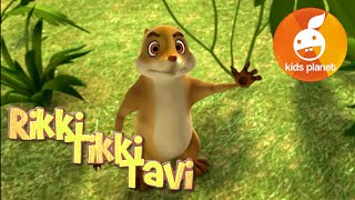 RIKKI TIKKI TAVI Episode 9  cartoons for kids  stories for children  Jungle book by R Kipling [upl. by Inot45]