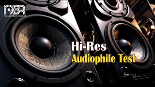 HiRes Audiophile Test  Best Voices amp Instrumental 24 Bit  Natural Beat Records [upl. by Baruch]