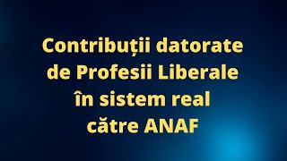 Contribuții datoarate de PFA în 2024 [upl. by Bohannon]