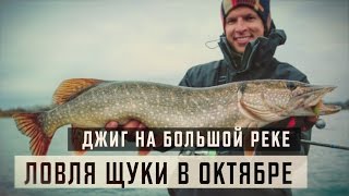 За щукой в октябре Джиг на большой реке [upl. by Beutner]