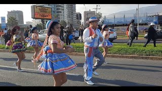 Año nuevo Andino 5532 en IQUIQUE PASACALLE “WILLKA KUTI 2024” 04 parte  jogojohn [upl. by Eronel142]