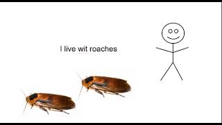 i live with roaches [upl. by Osmond]