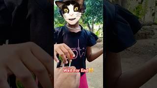 Aha Tamatar Bade Mazedaar 🍅😸👍🏻 shorts funny [upl. by Aliam]