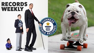 Tallest Meets Shortest and Skateboarding Bulldogs  Records Weekly  Guinness World Records [upl. by Buonomo]