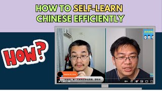 How to study Chinese by yourself in 2024  怎么自学中文  Dashu QampA 你问我答19 [upl. by Corine438]