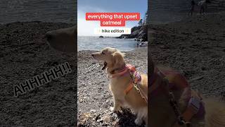 Hike Stillwater Cove in Jenner California dogadventure​⁠ hike sonomacountyregionalparks [upl. by Leumek]