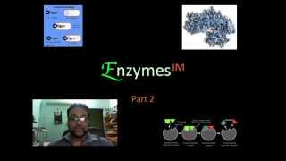 Enzymes JM Part 2mov [upl. by Nodnyl]