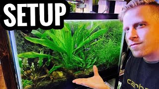 How to Set Up a Planted Aquarium  Live Plants for Beginners [upl. by Eak]