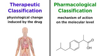 Categorizing Drugs Classes Names and Schedules [upl. by Leahpar]