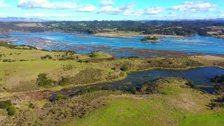 Elkhorn Slough [upl. by Eniamraj]