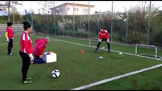 Allenamento portiere  Psicocinetica e Tecnica applicata [upl. by Imer]