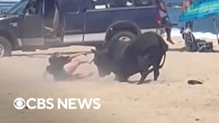 Woman attacked by bull on Mexico beach after ignoring warnings [upl. by Schultz]