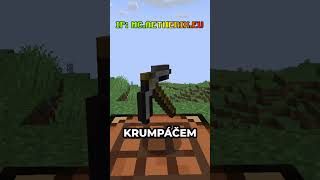 Věděl jsi že minecraft minecraftshorts mc gaming games [upl. by Queena42]