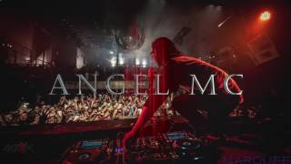 Skrillex  VIPs vs Levels vs Damn vs Get Right vs Purple Lamborguini Welcome ACLU Angel Mc [upl. by Benn711]