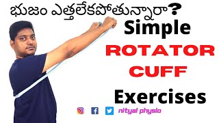 10 best exercises for Rotator cuff pain in Telugu by Nityal Physio [upl. by Einram]